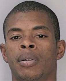 English Yavier - Hillsborough County, FL 