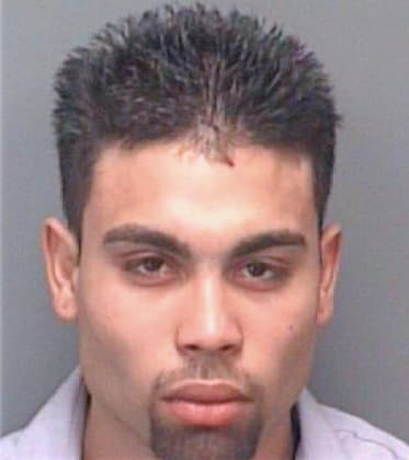 Vangas Brian - Pinellas County, FL 