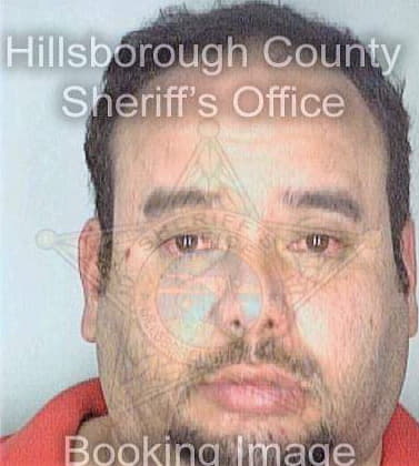 Rodriguez Carlos - Hillsborough County, FL 