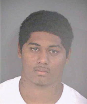 Davis Deonta - Hillsborough County, FL 
