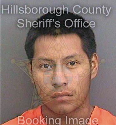 Rayo Joel - Hillsborough County, FL 