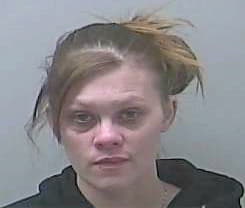 Mccann Leshia - Midland County, MI 
