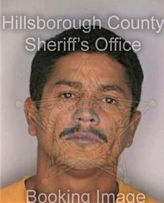 Loperena Marcelino - Hillsborough County, FL 