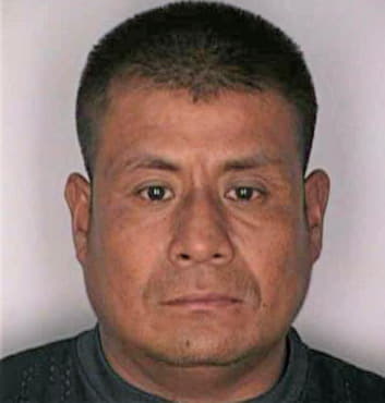 Morales Octavio - Hillsborough County, FL 