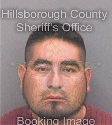Venturacruz Pedro - Hillsborough County, FL 