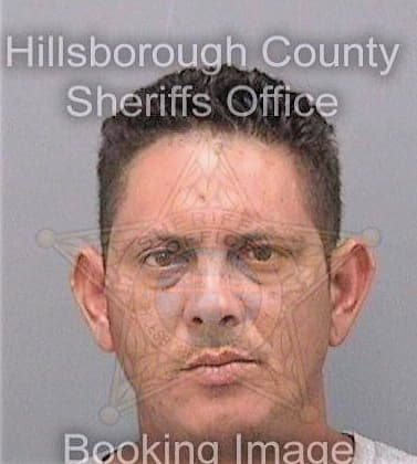 Figueredo-Santana Yovannis - Hillsborough County, FL 