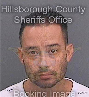 Lugo-Felix Rafy - Hillsborough County, FL 