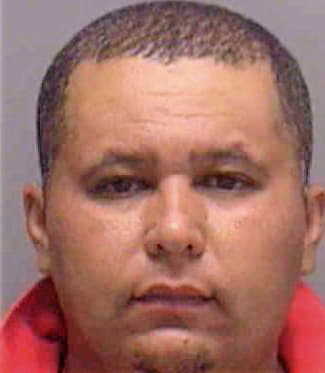 Dealmeida Reinaldo - Lee County, FL 