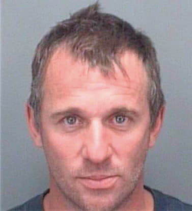 Allen David - Pinellas County, FL 