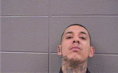 Mendoza Gustavo - Cook County, IL 