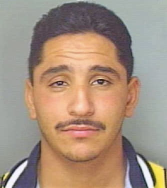 Chaidez Vicente - Polk County, FL 