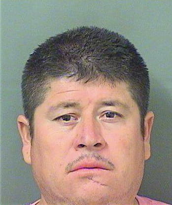 Martinezhernandez Gregorio - PalmBeach County, FL 