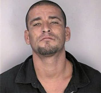 Molina Martin - Hillsborough County, FL 