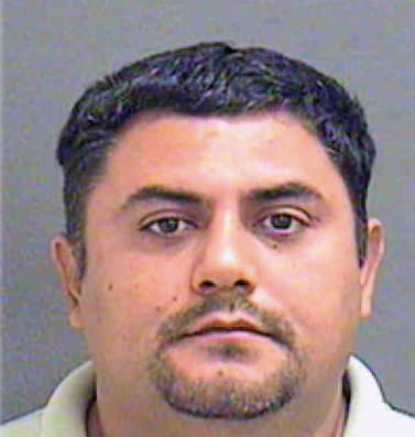 Vega Patricio - Mecklenburg County, NC 