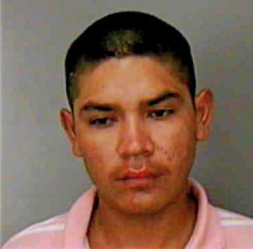 Mejia-Hernanez Alejandro - Polk County, FL 