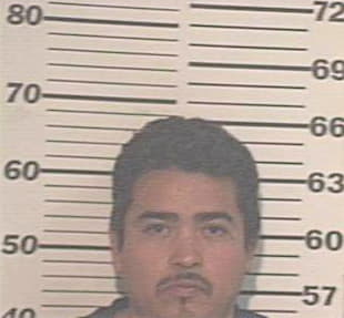 Ruiz Alejandro - Hidalgo County, TX 