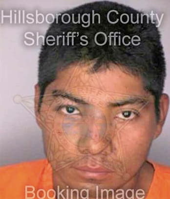 Lopez Domingo - Hillsborough County, FL 