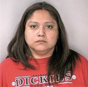 Leon Ileana - Hillsborough County, FL 