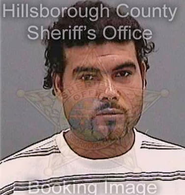 Pimentel Juan - Hillsborough County, FL 