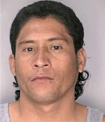 Matutepacheco Marvin - Hillsborough County, FL 