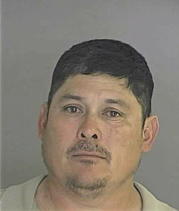 Mendoza Demetrio - Bastrop County, TX 