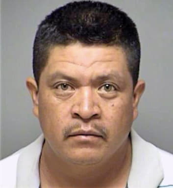 Torres-Garcia Fidel - Denton County, TX 