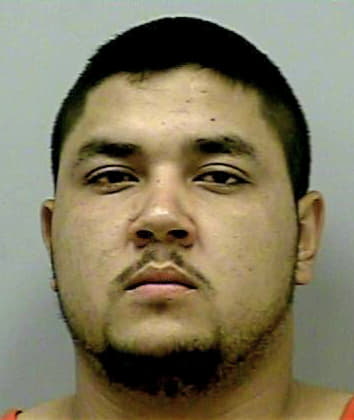 Valerio-Navarro Anselmo - Gwinnett County, GA 