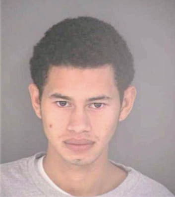 Lewis Arturo - Hillsborough County, FL 