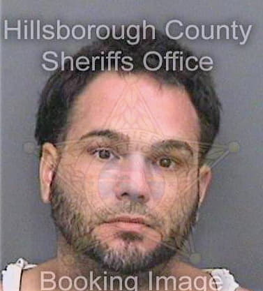 Kuralfigueroa George - Hillsborough County, FL 
