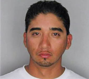 Alvarez Jorge - Hillsborough County, FL 