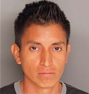 Rodriquez-Bravo Ramiro - Berkeley County, SC 