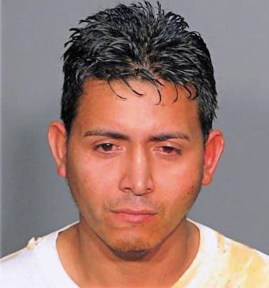 Llanos Eliezer - Wake County, NC 