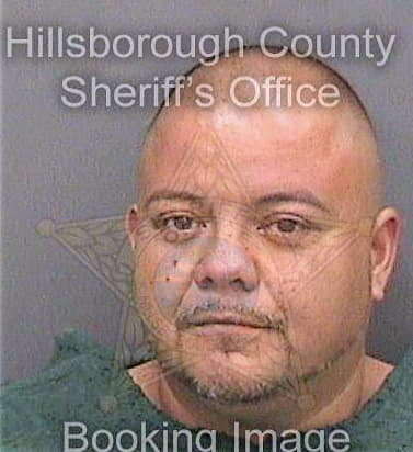 Mena David - Hillsborough County, FL 