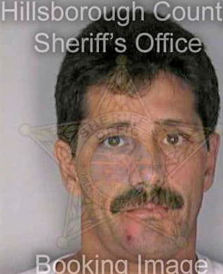 Mcdonald Frank - Hillsborough County, FL 