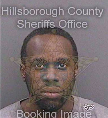 Thompson Mark - Hillsborough County, FL 