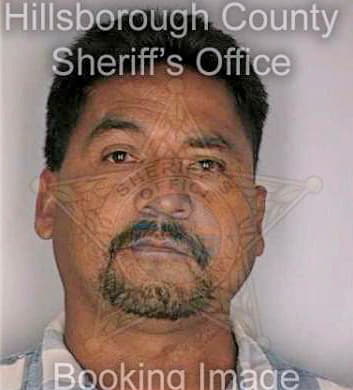 Sanchez Armondo - Hillsborough County, FL 