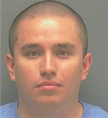 Hidalgo Jonathan - Lee County, FL 