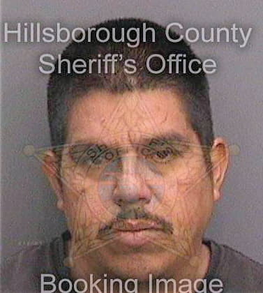 Echavarriagamez Jose - Hillsborough County, FL 
