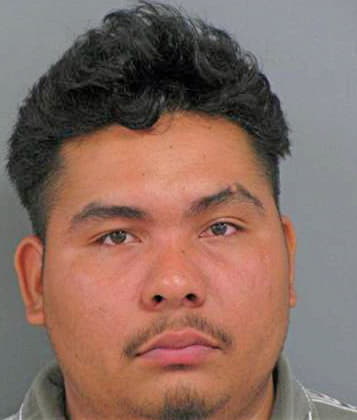 Pino Marino - Catoosa County, GA 