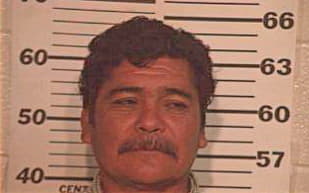 Guevara Reynaldo - Hidalgo County, TX 