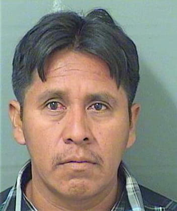 Marcos Jose - PalmBeach County, FL 