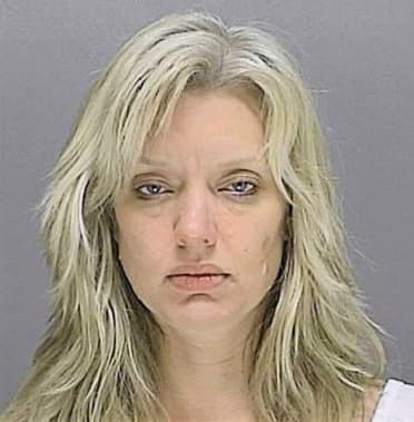 Lewis Christine - Volusia County, FL 