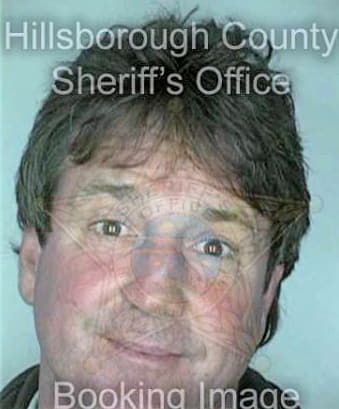 Mcintyre Francis - Hillsborough County, FL 