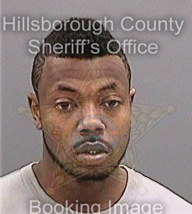 Vasquez Ivan - Hillsborough County, FL 