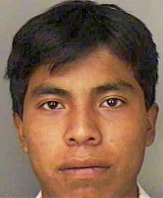 Melecio Josue - Polk County, FL 