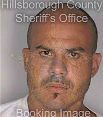 Tirado Reyaldo - Hillsborough County, FL 