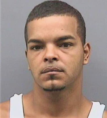 Aponte Richard - Hillsborough County, FL 