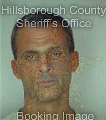 Millan Sigfredo - Hillsborough County, FL 