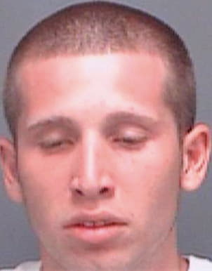 Semlitz Damien - Pinellas County, FL 
