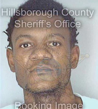 Wilson Darrell - Hillsborough County, FL 